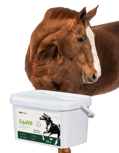 Lab-v EquiVit - dieetvoer voor paarden, ondersteunt immuniteit en gewrichten 2kg