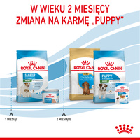 ROYAL CANIN Mini Starter 1kg 