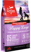Orijen Dog Puppy Large 6kg