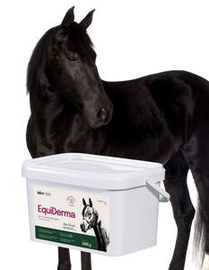 Lab-v EquiDerma - Aanvullend diervoeder voor paarden en pony's ter ondersteuning van huid-, vacht- en hoefconditie 2kg