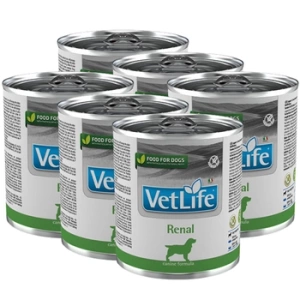 Farmina Vet Life Canine Renal 6x300g
