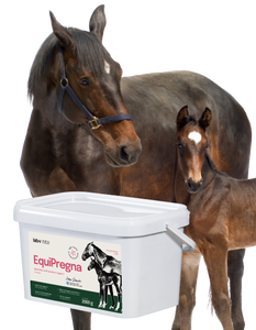 Lab-v EquiPregna - Aanvullend diervoeder voor drachtige en lacterende merries ter ondersteuning van de dracht, foetale ontwikkeling en melkproductie 2kg