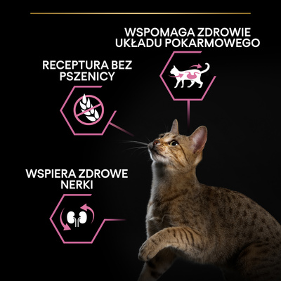 PRO PLAN Delicate Digestion Adult kattenvoer rijk aan lam 1.5kg