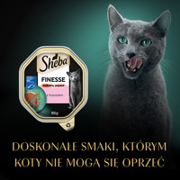 SHEBA Finesse tray 85 g - volledig natvoer voor volwassen katten, met zalm, in pate