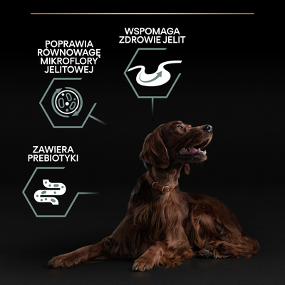 Purina Pro Plan Large Adult Athletic Optidigest Lamb With Rice 14kg