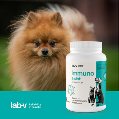Lab-v Immuno Twist - natuurlijke ondersteuning van immuniteit en vitaliteit voor honden en katten 60 afneembare capsules