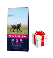 Eukanuba Puppy&Junior Large Breed 15kg + GRATIS een verrassing voor je hond!
