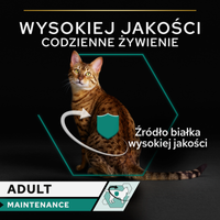 PRO PLAN Adult vochtige kippenpaté Nat kattenvoer 12x85g