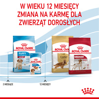 ROYAL CANIN Medium Puppy 4kg