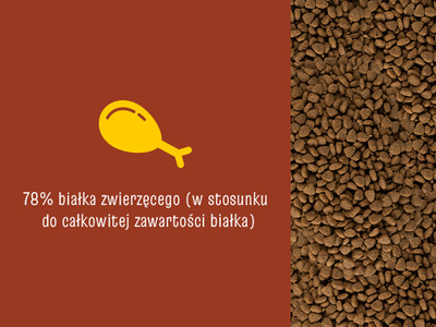 JosiCat Josera Tasty Beef 10kg