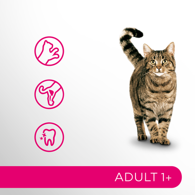 PERFECT FIT Adult 1+ met kip 7kg 