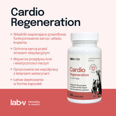 LAB-V Cardio Regeneration - Cardiovasculaire ondersteuning voor honden en katten 45 capsules