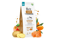 BRIT CARE Dog Grain-free Senior & Light Salmon 12kg