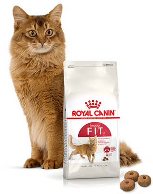 ROYAL CANIN Fit 32 10kg