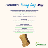 VETOQUINOL Flexadin Jonge Hond Maxi 60 pods