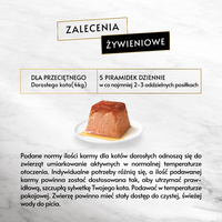 GOURMET Revelations Kip Mousse 2x57g