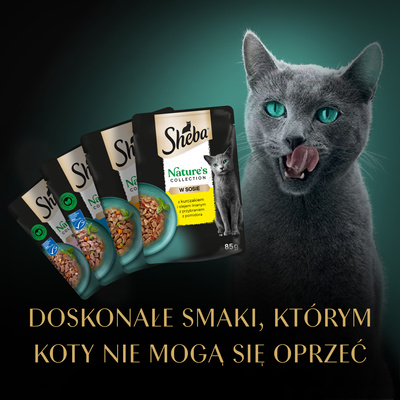 SHEBA Nature's Collection Flavour Selection 40x85 g - Complete natte voeding voor volwassen katten, in saus