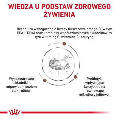 ROYAL CANIN Gastrointestinal Laag Vet 2x12kg