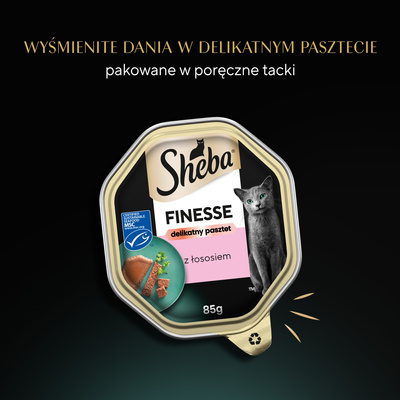 SHEBA Finesse tray 85 g - volledig natvoer voor volwassen katten, met zalm, in pate