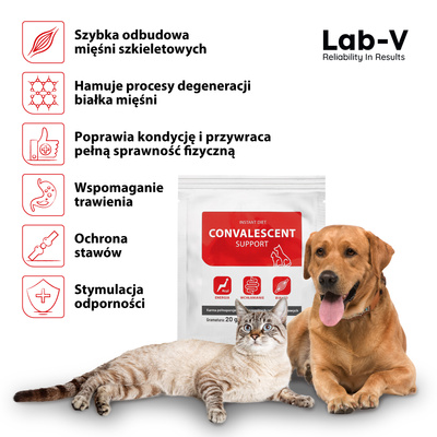 LAB-V CONVALESCENT dieetvoer voor honden en katten 20 g