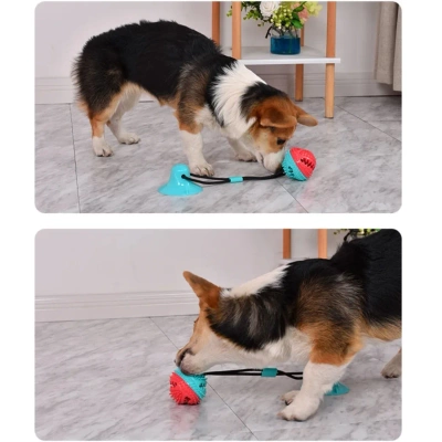 NUXIE® kogelspeeltje met zuignap 43cm