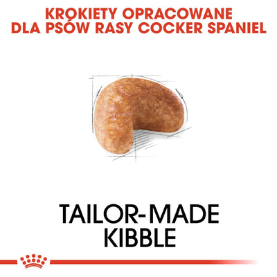 ROYAL CANIN Cocker Spaniel Adult 12kg