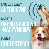 Lab-V 100% Zalmolie voor honden en katten van alle leeftijden 1000 ml Koudgeperst
