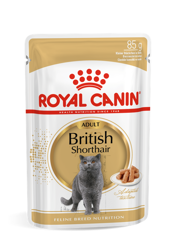 ROYAL CANIN British Shorthair Adult 12x85g