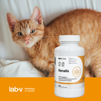 LAB-V Renalis- Ondersteuning bij chronisch nierfalen voor honden en katten 90 capsules