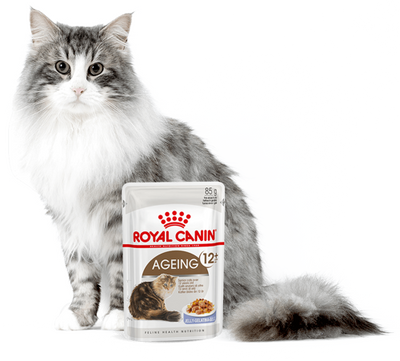 ROYAL CANIN Ageing +12 Gelee 12x85g