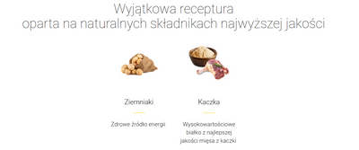 Josera Lachs & Kartoffel 900g 