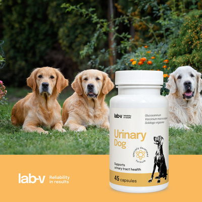 LAB-V Urinary Dog - Ondersteuning bij urineweginfecties bij honden 45 capsules