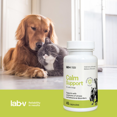 LAB-V Calm Support - Ondersteuning bij symptomen van stress en gedragsstoornissen 45 capsules
