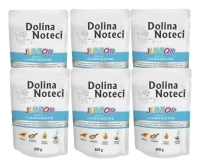 Dolina Noteci Premium Junior Rijk aan Lamsvlees 24x300g