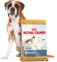 ROYAL CANIN Boxer Adult 12kg
