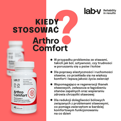 LAB-V Arthro Comfort - Uitgebreide ondersteuning van de gezondheid van gewrichten en bewegingsapparaat voor honden en katten 45 capsules