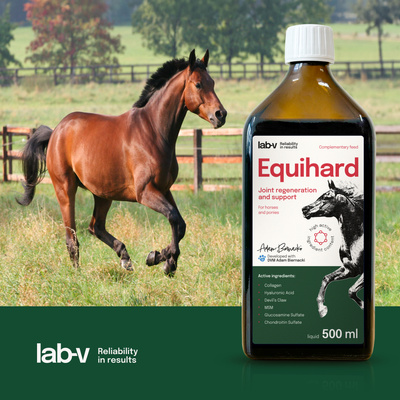 Lab-v Equihard - Uitgebreide formule voor gezonde gewrichten voor paarden en pony's 2x500 ml