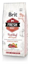Brit Fresh Beef &kin Puppy Large Growth & Joints 12kg