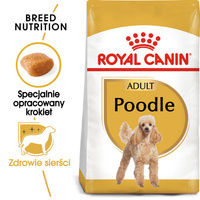 ROYAL CANIN Poedel Adult 1.5kg