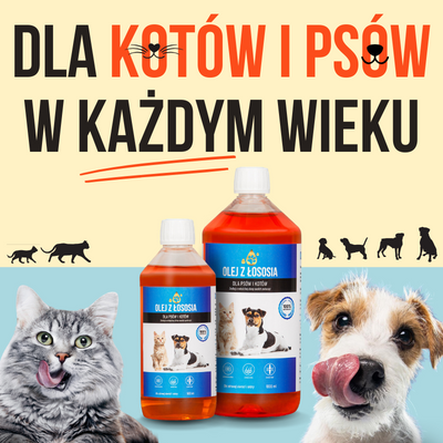 Lab-V 100% Zalmolie voor honden en katten van alle leeftijden 1000 ml Koudgeperst