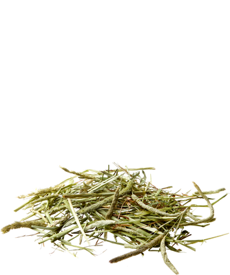 Versele-Laga Timotheehooi 1 kg