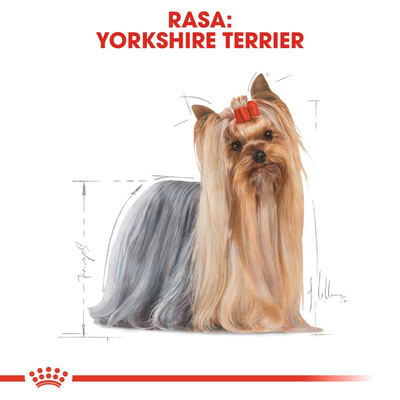 ROYAL CANIN Yorkshire Terrier Adult 12x85g