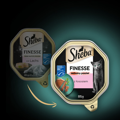 SHEBA Finesse tray 85 g - volledig natvoer voor volwassen katten, met zalm, in pate