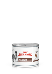 ROYAL CANIN Recovery 195 g
