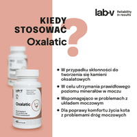 LAB-V Oxalatic - Ondersteuning bij steenvorming door kattenoxalaat 45 capsules