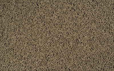 TETRA ReptoMin 500 ml