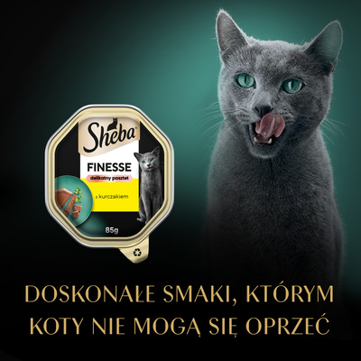 SHEBA Finesse tray 85 g - volledig natvoer voor volwassen katten, met kip, in paté