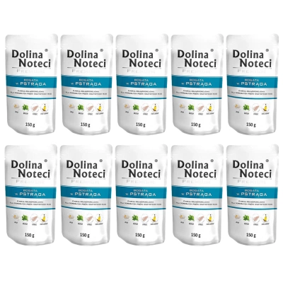 Dolina Noteci Premium Forel 10x150g