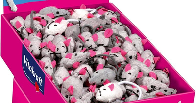 Vitakraft Bontmuis 5cm