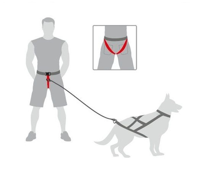Dingo Honden Loopband Tot 120cm